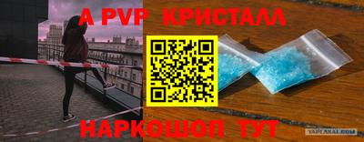 стафф Кандалакша