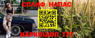 стафф Кандалакша