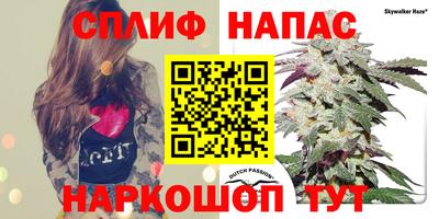 стаф Камышлов