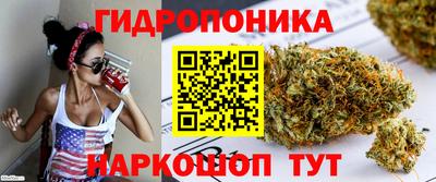 шишки Канаш