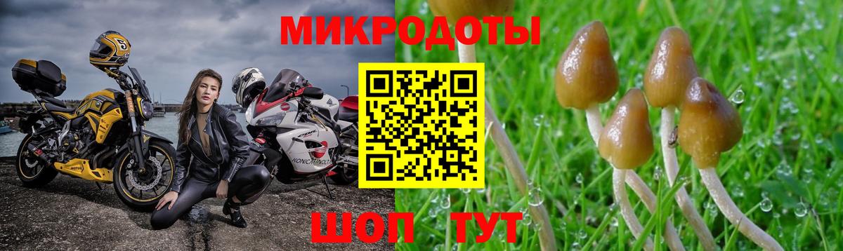 Галлюциногенные грибы Magic Shrooms Лесозаводск